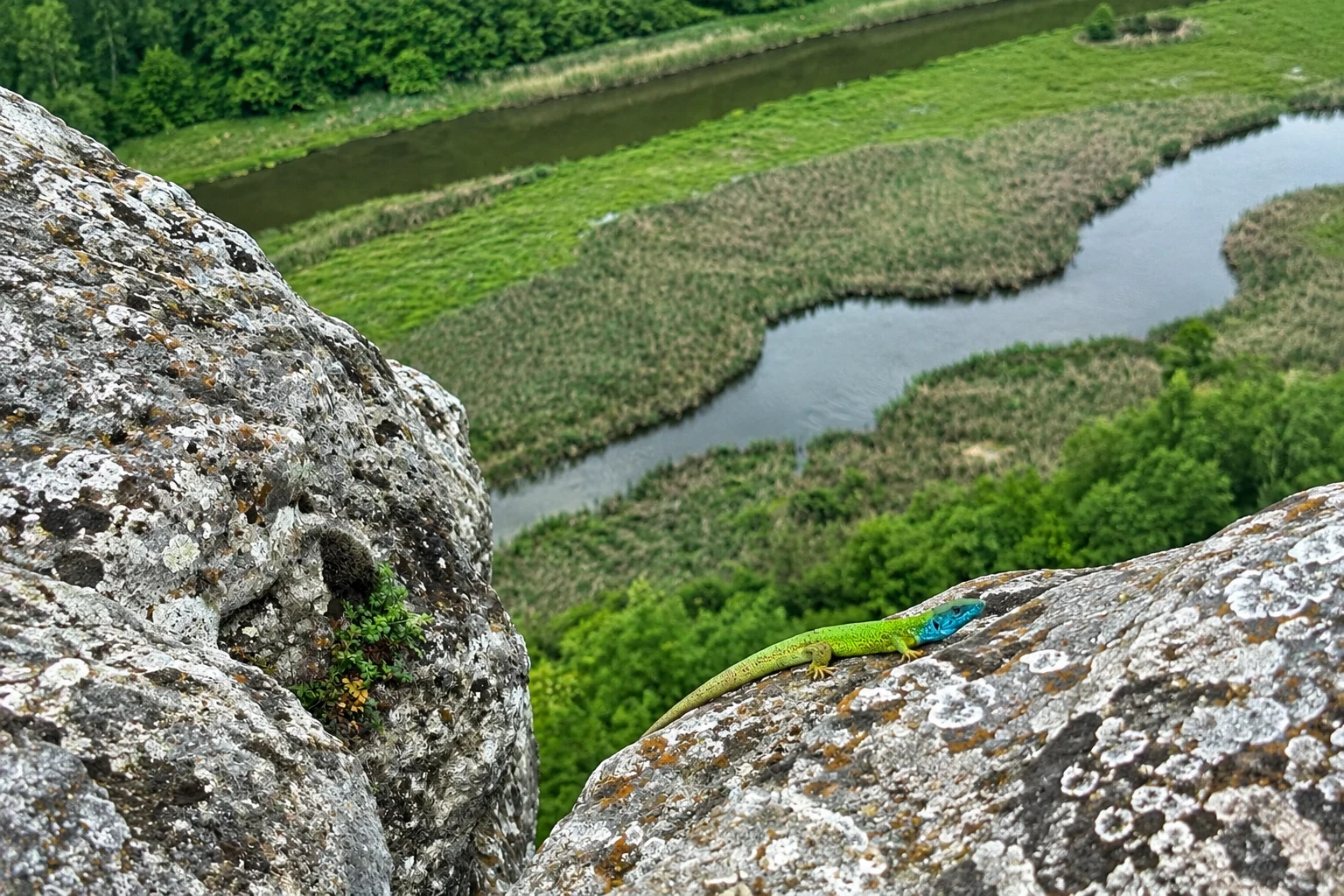 Вігушівський водоспад